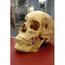 Skull from the 3rd Century